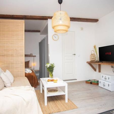 Le Boheme, Cosy, Hypercentre Apartment Grenoble Exterior foto
